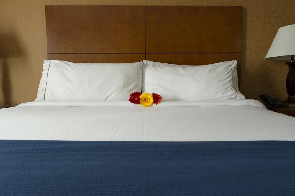 Sandman Hotel & Suites London Downtown 外观 照片